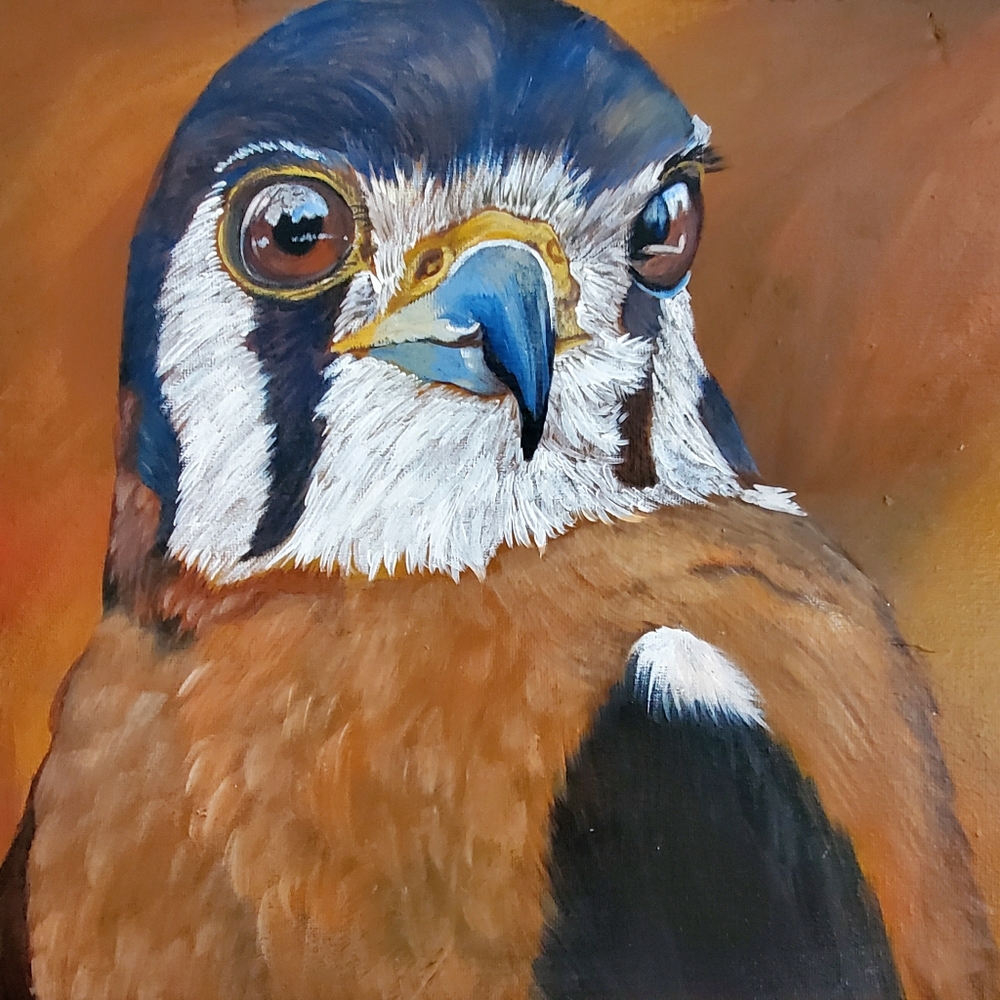 "American Kestrel" Original Oil Painting on Canvas, Signed